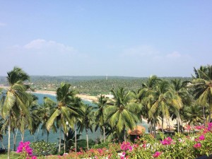 インドで過ごす年末年始。南インドの年越しは楽園ケララのコヴァラムビーチへGO！
